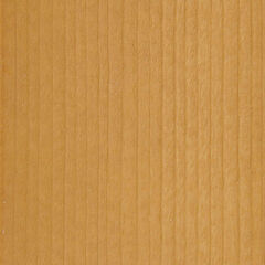 Farbe für Holzhaustür: Fichte 7